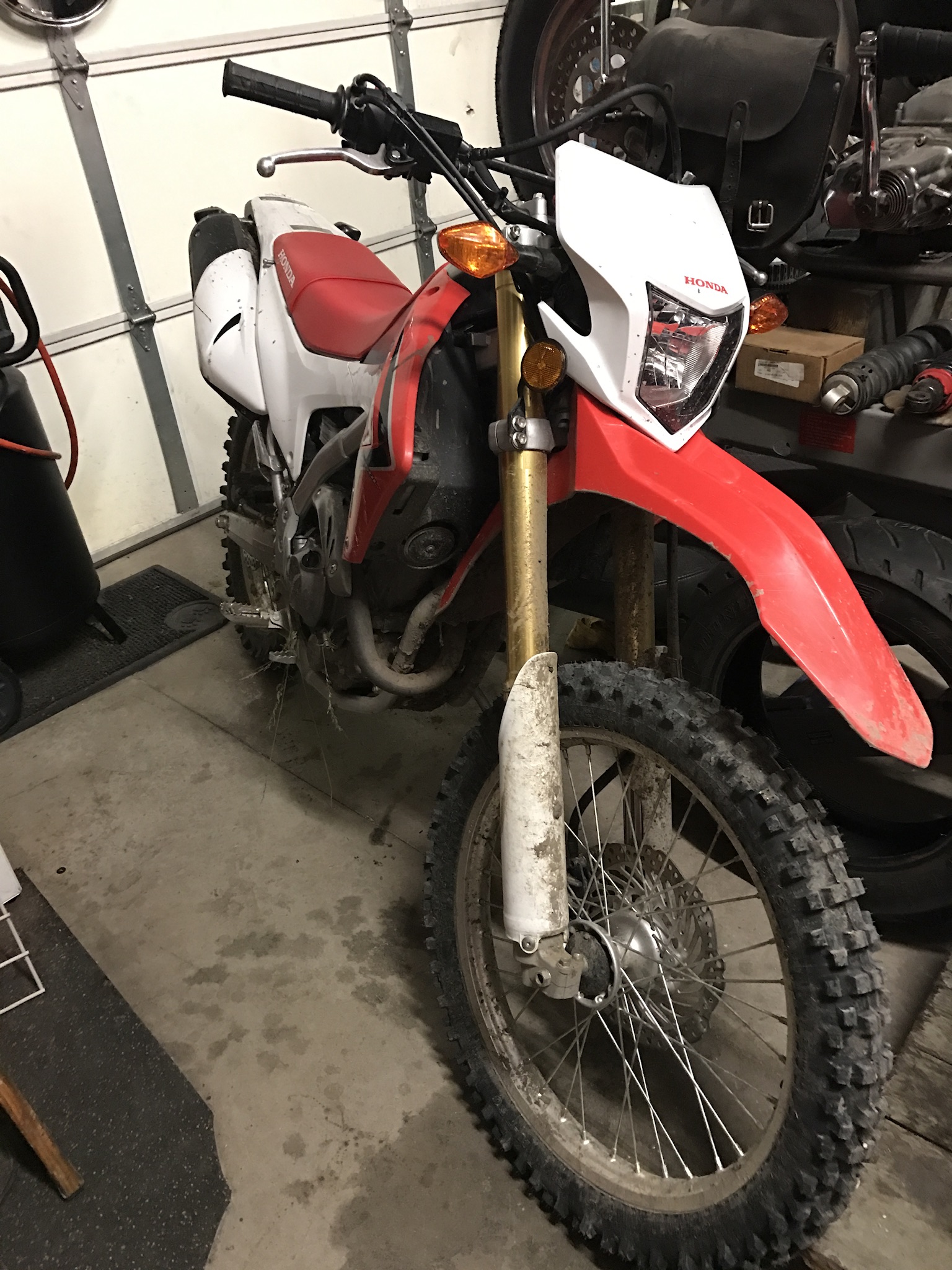 As Seen At Knobtown Gallery, As Seen At Knobtown Gallery