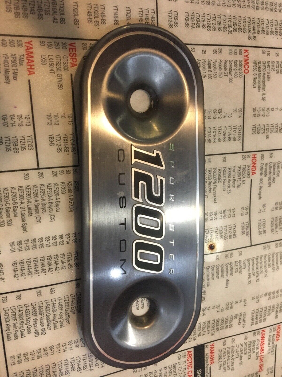 Harley Davidson Air Cleaner Cover Insert #29346-07