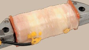 WSM Exciting Coil - Kawasaki