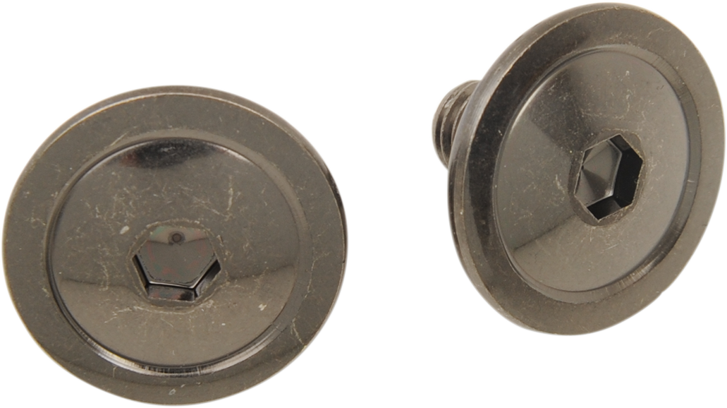 Z1R SCREWS VISOR FI 2PC