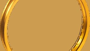 EXCEL Rim - Takasago - Rear - 36 Hole - Gold - 19x2.15