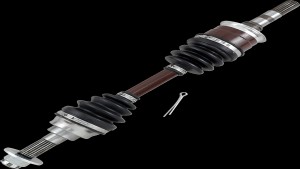 Shopping Cart, Shopping Cart