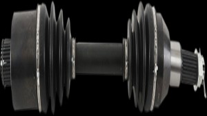 Shopping Cart, Shopping Cart