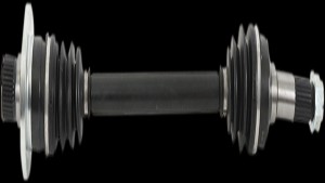 Shopping Cart, Shopping Cart