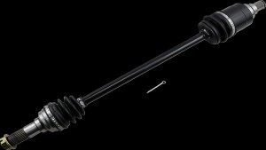 Shopping Cart, Shopping Cart