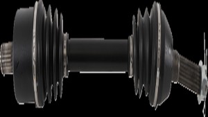 Shopping Cart, Shopping Cart