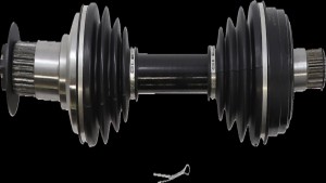 Shopping Cart, Shopping Cart