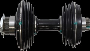 Shopping Cart, Shopping Cart