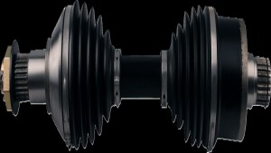 Shopping Cart, Shopping Cart