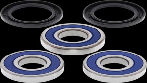 Shopping Cart, Shopping Cart