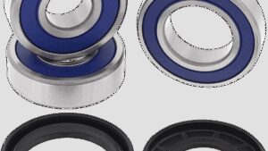 ALL BALLS Wheel Bearing Kit - Rear - '01-'05 Kawasaki 1200/2000