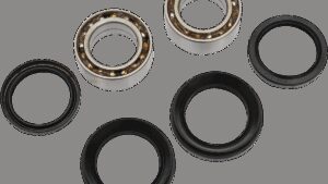 PIVOT WORKS Wheel Bearing Kit - Front - TRX300FW