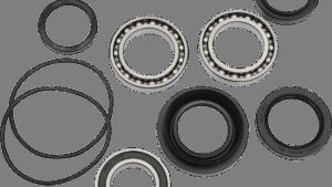 PIVOT WORKS Wheel Bearing Kit - Rear - TRX 300/300FW