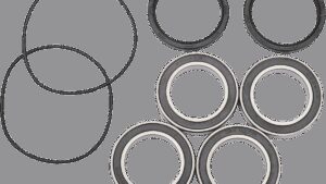 PIVOT WORKS Wheel Bearing Kit - Rear - QuadRacer 450