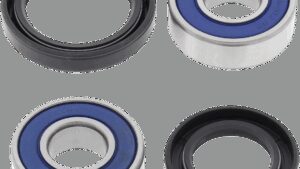 ALL BALLS Wheel Bearing Kit - Front - '83-'07 Kawasaki Eliminator/Ninja