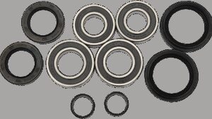 PIVOT WORKS Wheel Bearing Kit - Front - TRX 420/500