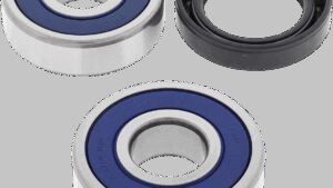 ALL BALLS Wheel Bearing Kit - Rear - Honda 350/360/400