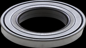 Shopping Cart, Shopping Cart