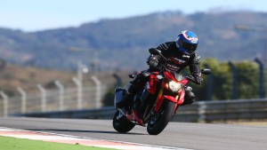 Shopping Cart, Shopping Cart