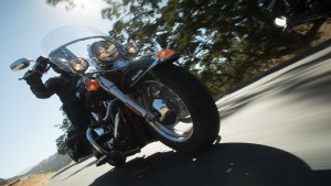 Shopping Cart, Shopping Cart