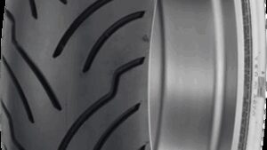 DUNLOP Tire - American Elite - Rear - 160/70B17 - 73V