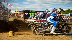 Shopping Cart, Shopping Cart