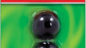 SLIME Valve Stem Caps - Black - 4 Pack