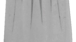 AVON GRIPS Valve Stem Cap - Excalibur - Chrome