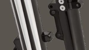 ARLEN NESS Fork Legs - Black - Deep Cut - Dual Disc