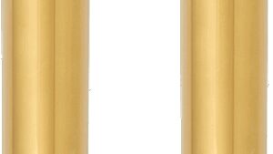ARLEN NESS Fork Tube - 49 mm - 25.75" - Gold