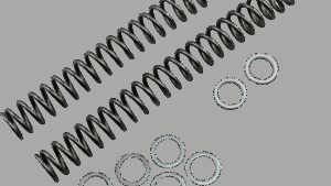 RACE TECH Fork Springs - 0.40 kg/mm