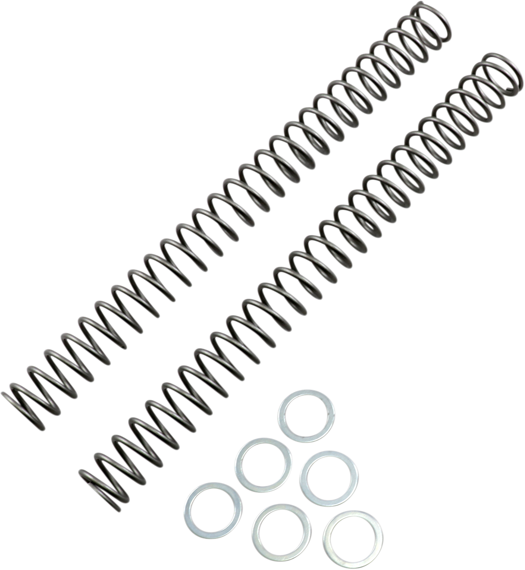 RACE TECH Fork Springs - 0.38 kg/mm