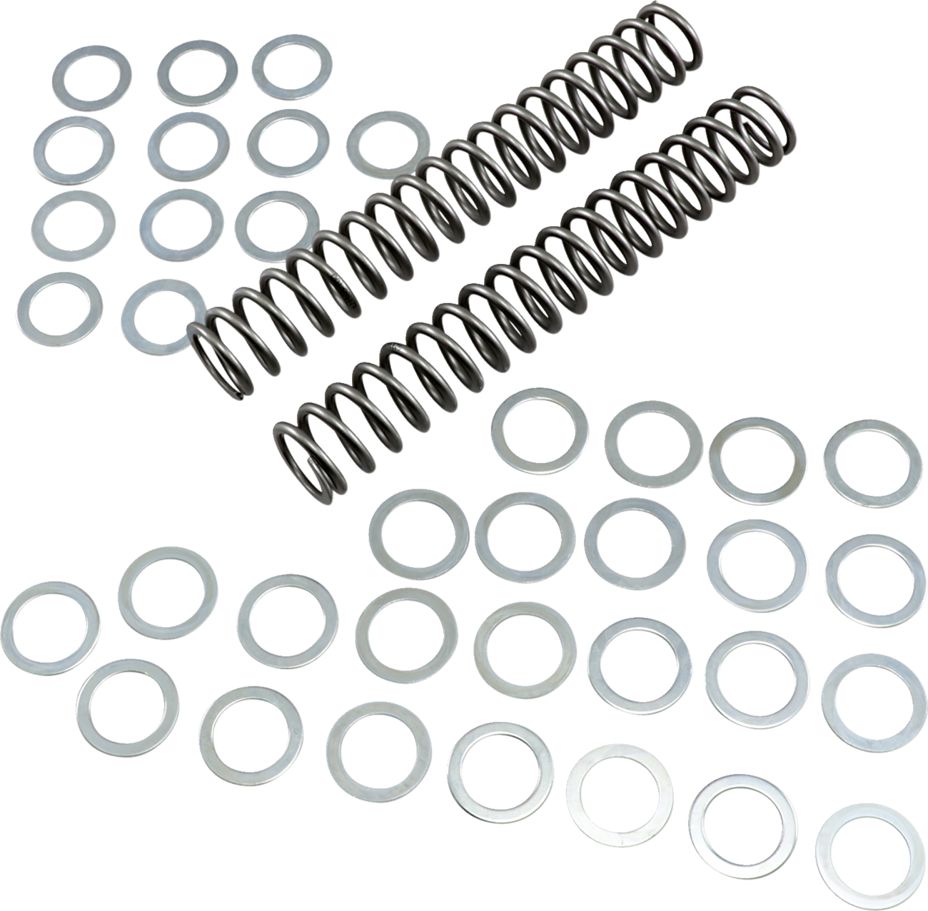 RACE TECH Fork Springs - 1.00 kg/mm