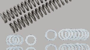 RACE TECH Fork Springs - 1.10 kg/mm