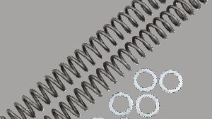 RACE TECH Fork Springs - 0.48 kg/mm