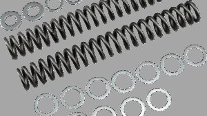 RACE TECH Fork Springs - 1.20 kg/mm