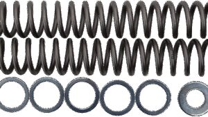 RACE TECH Fork Springs - 1.10 kg/mm