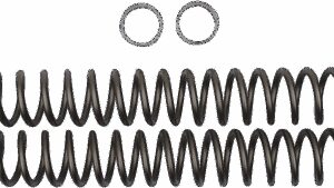 RACE TECH Fork Springs - 0.40 kg/mm