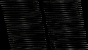 Shopping Cart, Shopping Cart