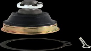 Shopping Cart, Shopping Cart