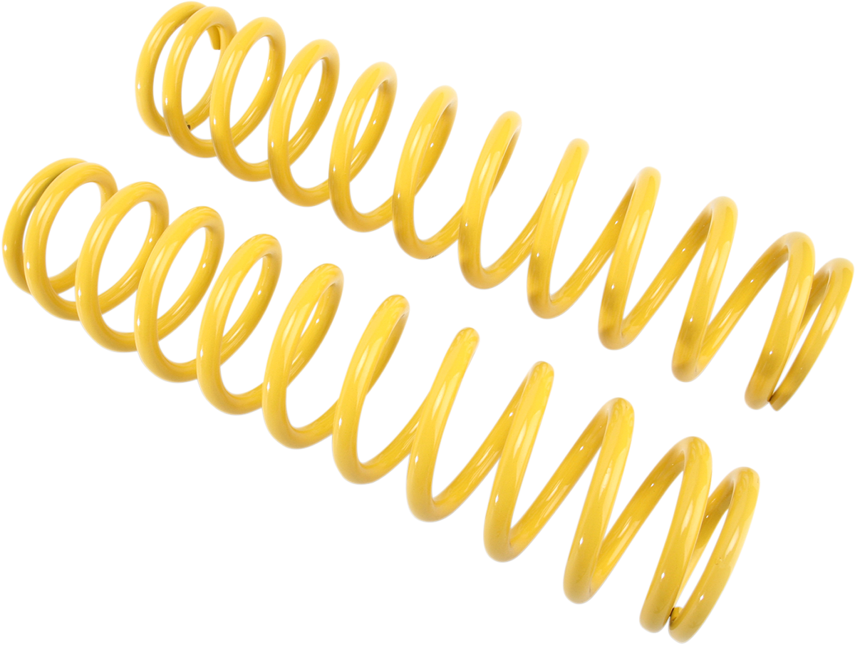 HIGH LIFTER SPRING KIT POL RR - Image 2