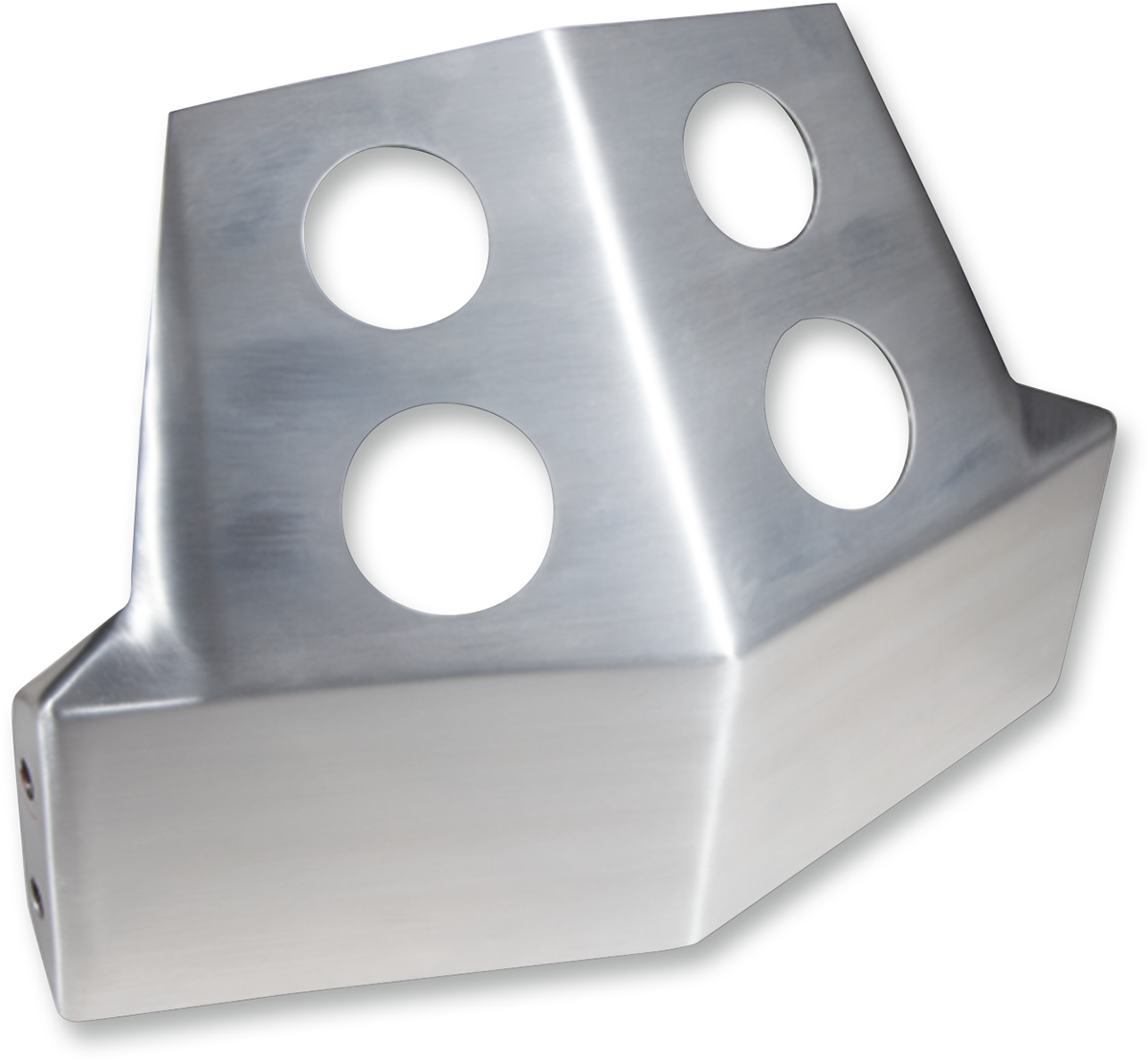 SPEED MERCHANT Skid Plate - Aluminum - Dyna