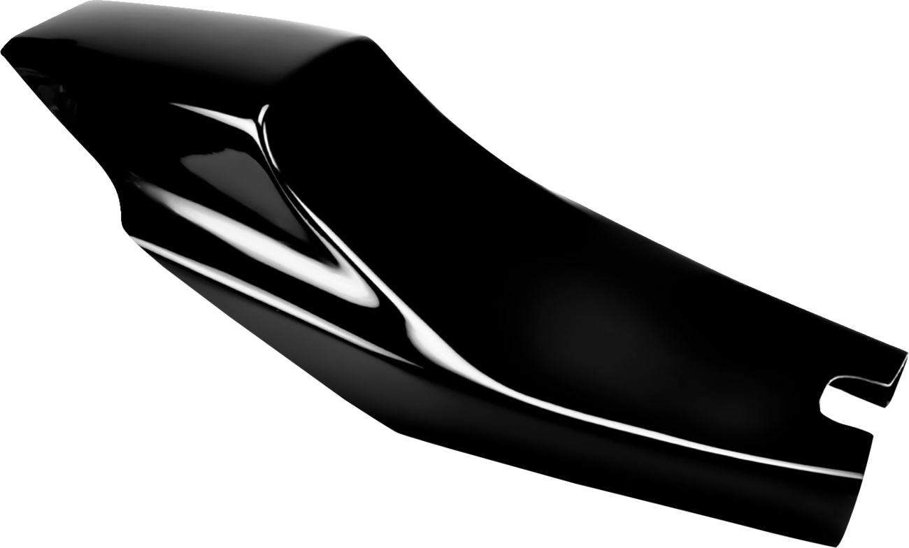 SADDLEMEN TAIL SECTION ELIMINATOR - Image 2