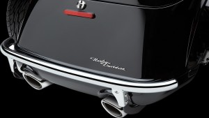 COBRA TRUNK GUARD FREEWHEELER