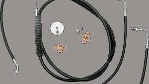 Shopping Cart, Shopping Cart