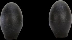 Shopping Cart, Shopping Cart