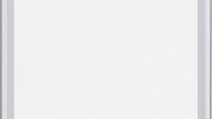 Shopping Cart, Shopping Cart