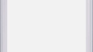 Shopping Cart, Shopping Cart