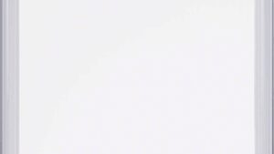 SP CONNECT All Weather Device Weather Cover - Samsung S21+