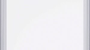 SP CONNECT All Weather Device Weather Cover - Samsung S21 Ultra